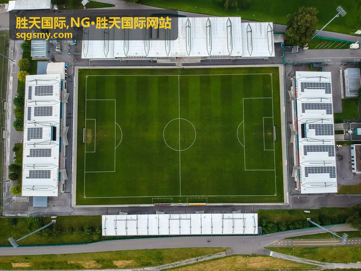 胜天国际图文展示封面图